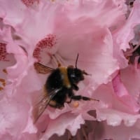 2010-06-12_3489