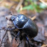IMG_4338_2432