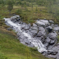 Fors Anton Smeets