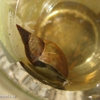 2010-07-15_3860-700x525