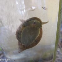 2010-07-15_3863-700x525