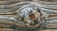 Knast Anton Smeets