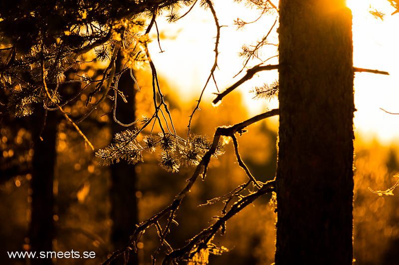 skymningsbilder ifrån Åretrakten (6)