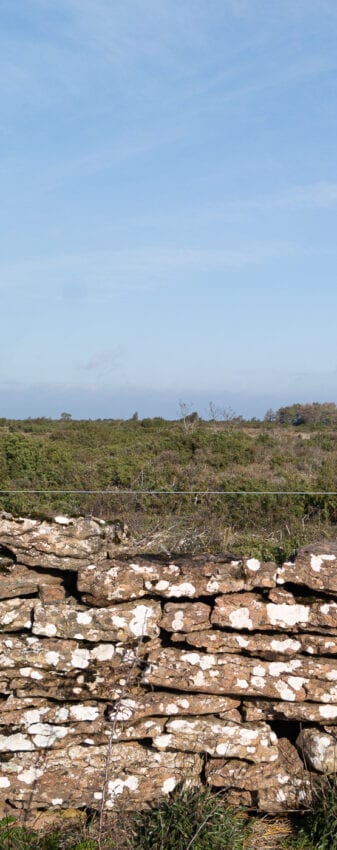 Stenmur Anton Smeets