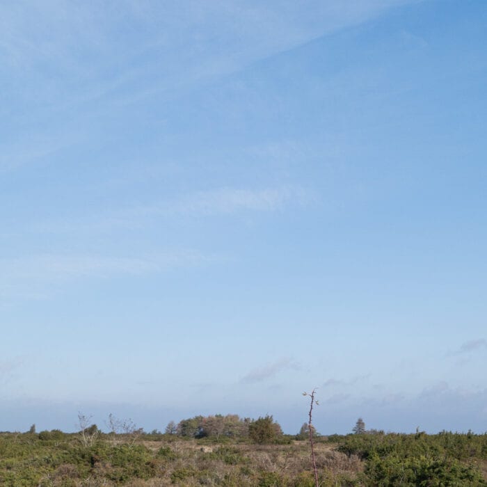 Stenmur Anton Smeets