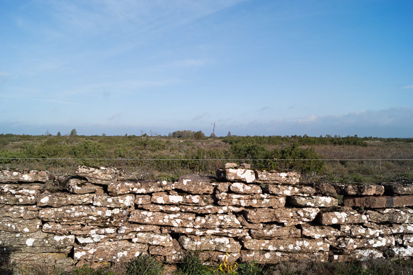 Stenmur Anton Smeets