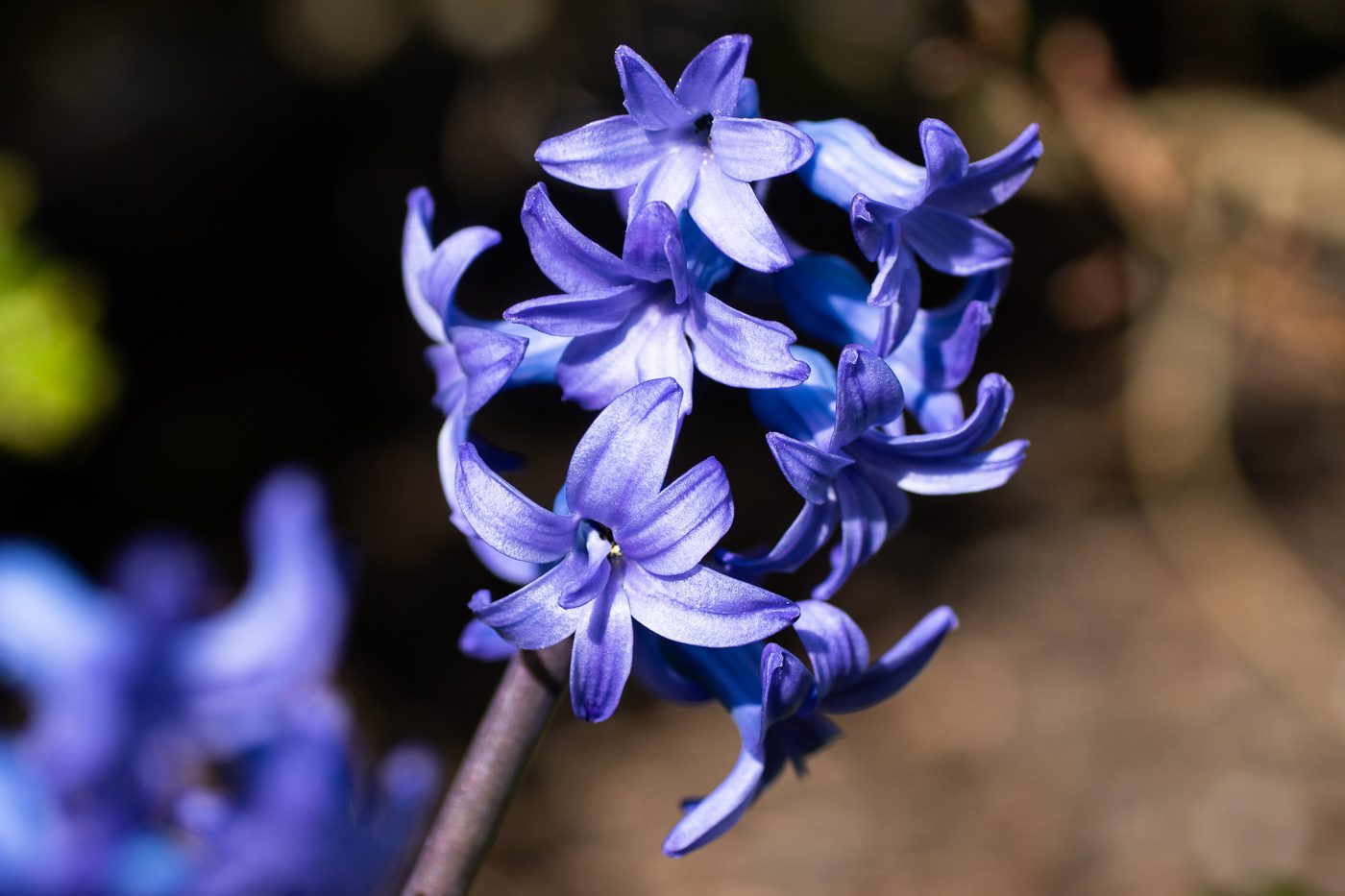 Hyacint Anton Smeets