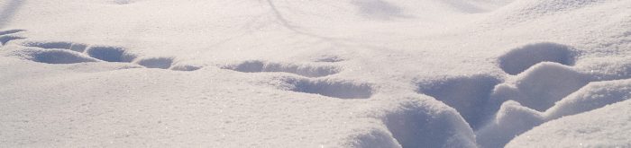 Snölandskap Anton Smeets