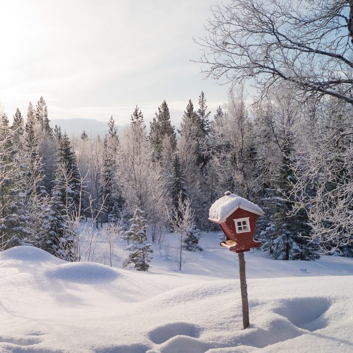Snölandskap Anton Smeets
