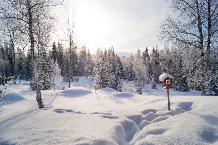 Snölandskap Anton Smeets