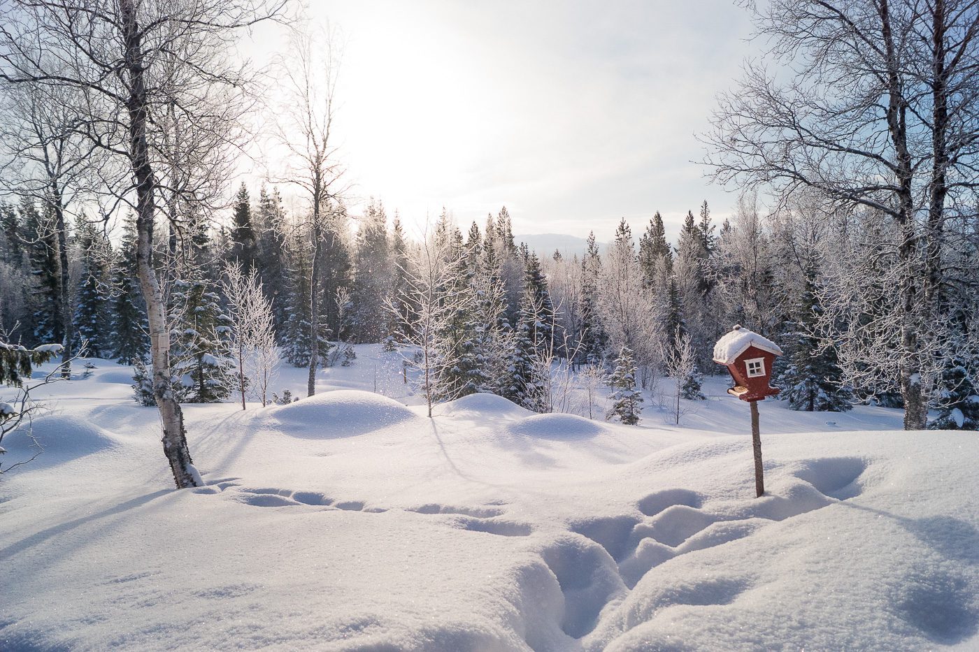 Snölandskap Anton Smeets
