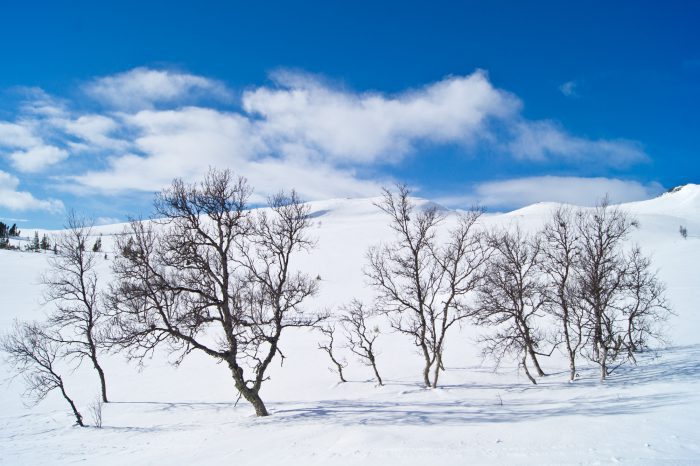 Fjäll-landskap Anton Smeets