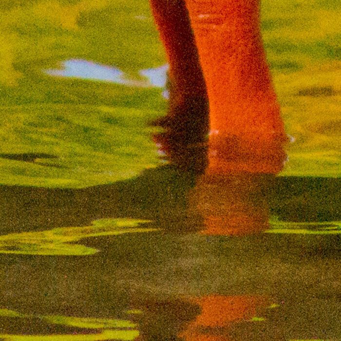 Gräsand Anton Smeets