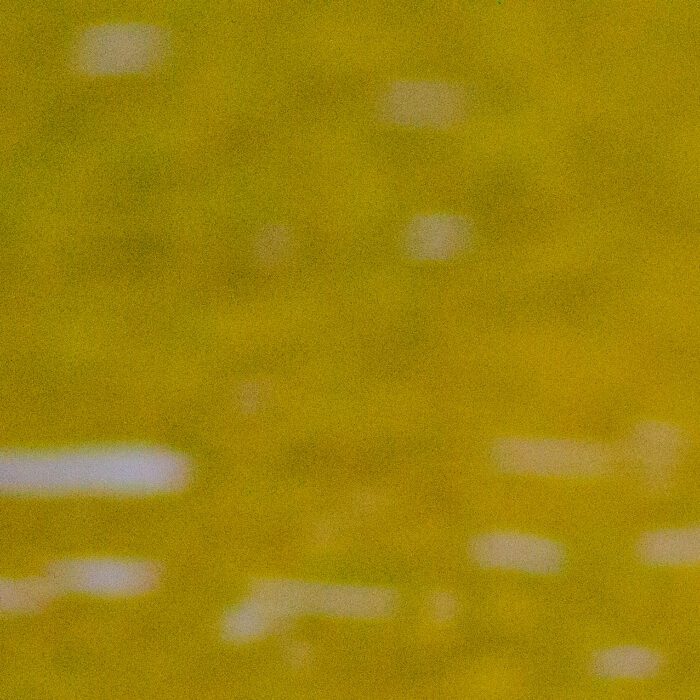 Gräsand Anton Smeets