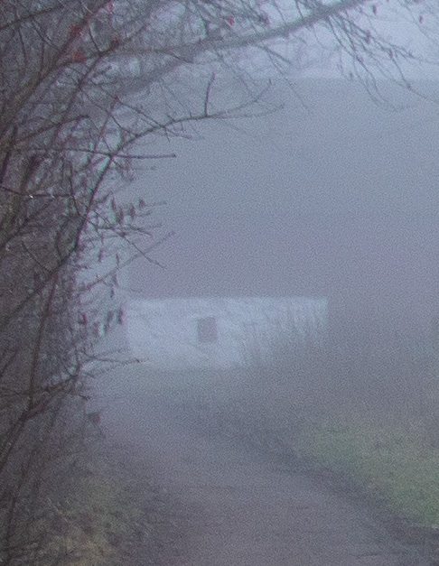 Hästar i dimma Anton Smeets