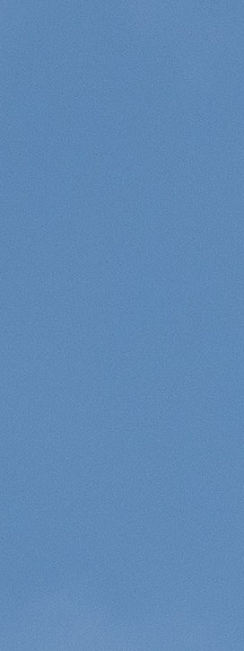 Kvist mot blå himmel Anton Smeets