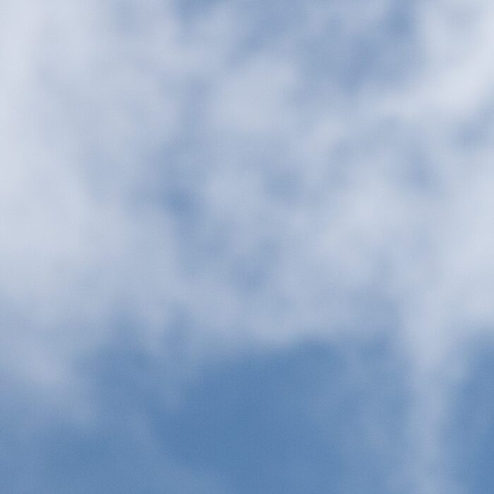 Kvist mot blå himmel Anton Smeets